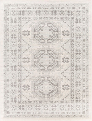 Livabliss Chester Global Pattern Polypropylene Runner Rug for Hallways and Entryways Seafoam, Charco 7'10" x 10'2" CHE2309-710103