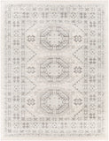 Chester CHE-2309 7'10" x 10'2" Machine Woven Rug CHE2309-710103 Livabliss Surya