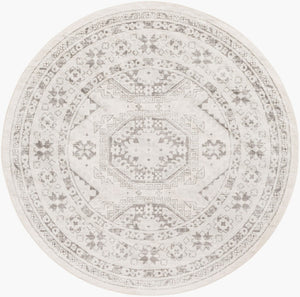 Livabliss Chester Global Pattern Polypropylene Runner Rug for Hallways and Entryways Seafoam, Charco 7'10" x 7'10" CHE2309-710RD