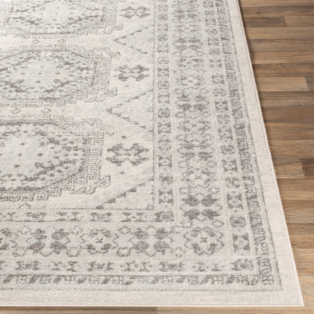 Livabliss Chester Global Pattern Polypropylene Runner Rug for Hallways and Entryways Seafoam, Charco 8'10" x 12' CHE2309-912