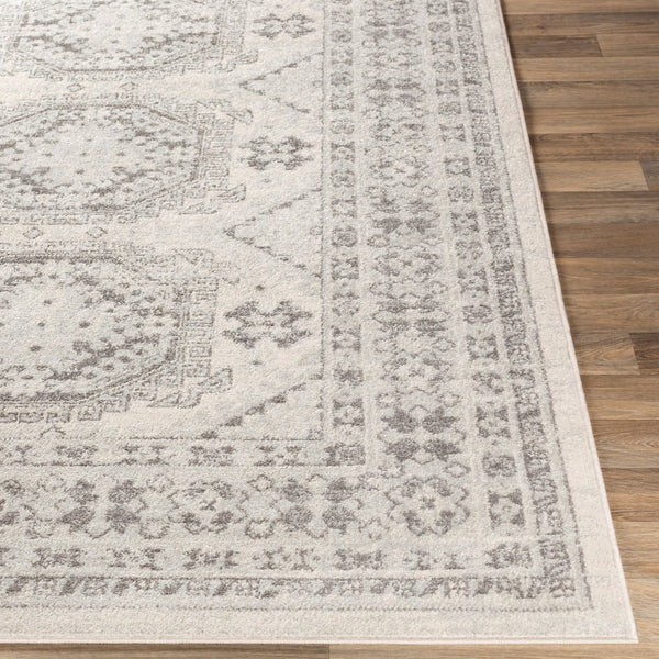 Livabliss Chester Global Pattern Polypropylene Runner Rug for Hallways and Entryways Seafoam, Charco 8'10" x 12' CHE2309-912