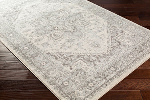 Livabliss Chester Traditional Pattern Runner Rug Turkey Woven Polypropylene Hallway Entryway Seafoam, Charco 8'10" x 12' CHE2312-912