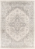 Chester CHE-2312 7'10" x 10'2" Machine Woven Rug CHE2312-710103 Livabliss Surya