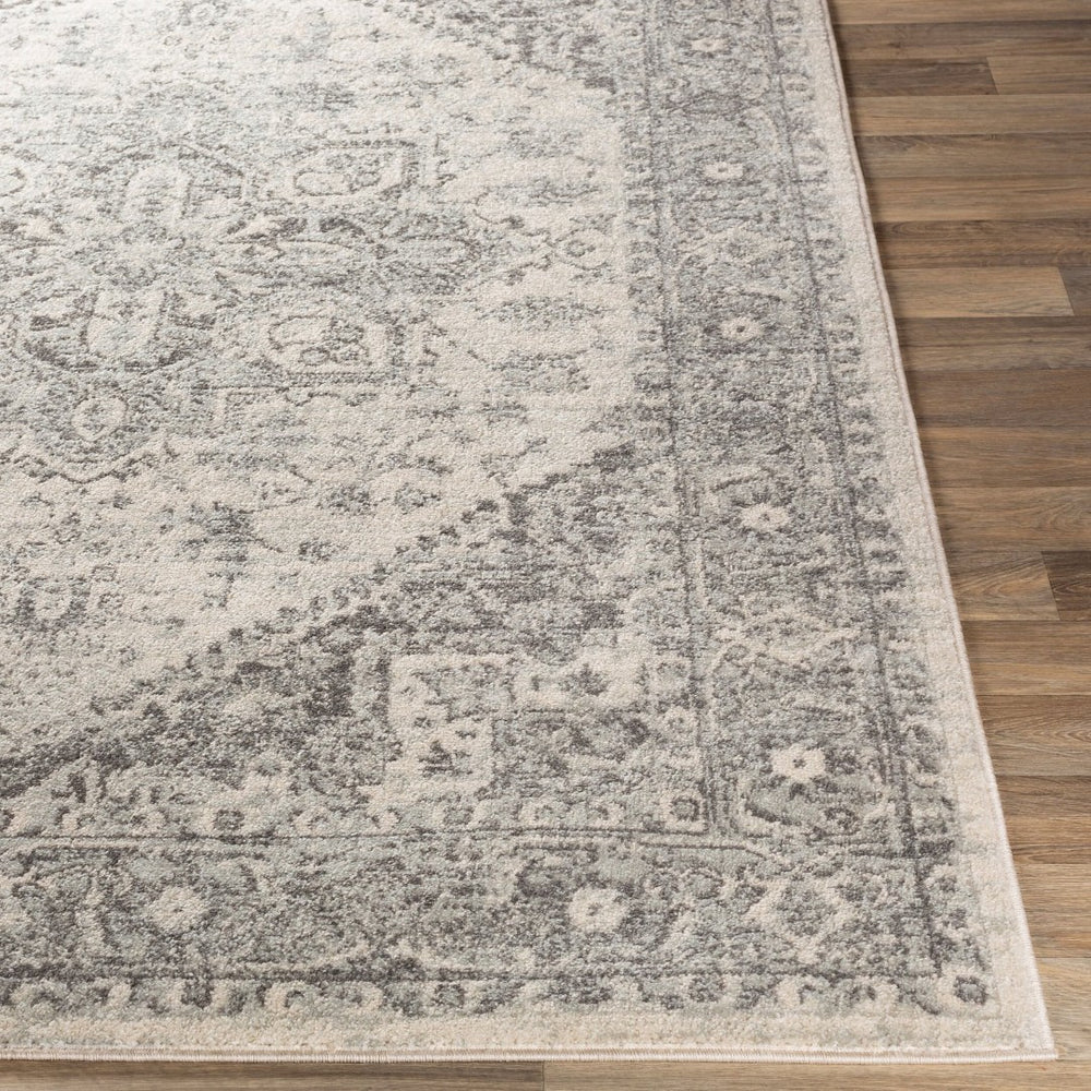 Livabliss Chester Traditional Pattern Runner Rug Turkey Woven Polypropylene Hallway Entryway Seafoam, Charco 7'10" x 10'2" CHE2312-710103