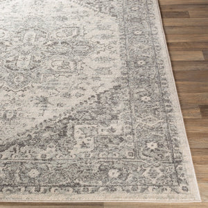 Livabliss Chester Traditional Pattern Runner Rug Turkey Woven Polypropylene Hallway Entryway Seafoam, Charco 8'10" x 12' CHE2312-912