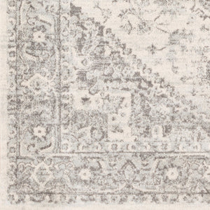 Livabliss Chester Traditional Pattern Runner Rug Turkey Woven Polypropylene Hallway Entryway Seafoam, Charco 8'10" x 12' CHE2312-912