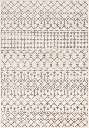 Livabliss Chester Global Pattern Polypropylene Runner Rug Woven in Turkey for Hallways Charcoal, Light 8'10" x 12' CHE2319-912