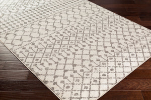 Livabliss Chester Global Pattern Polypropylene Runner Rug Woven in Turkey for Hallways Charcoal, Light 2'7" x 7'3" CHE2319-2773