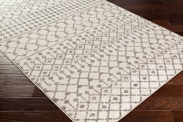 Livabliss Chester Global Pattern Polypropylene Runner Rug Woven in Turkey for Hallways Charcoal, Light 2'7" x 7'3" CHE2319-2773