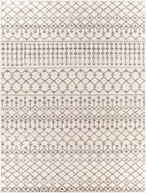 Livabliss Chester Global Pattern Polypropylene Runner Rug Woven in Turkey for Hallways Charcoal, Light 7'10" x 10'2" CHE2319-710103