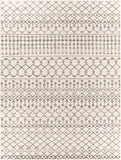 Chester CHE-2319 7'10" x 10'2" Machine Woven Rug CHE2319-710103 Livabliss Surya