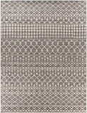 Chester CHE-2321 7'10" x 10'2" Machine Woven Rug CHE2321-710103 Livabliss Surya