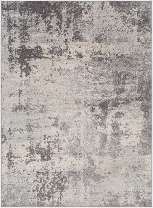 Livabliss Chester Geometric Area Rug Low Pile Polypropylene Weave for Living Room Floors CHE2340-5373