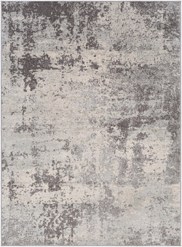 Livabliss Chester Geometric Area Rug Low Pile Polypropylene Weave for Living Room Floors CHE2340-5373