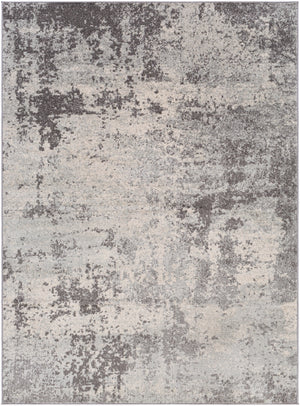 Chester CHE-2340 6'7" x 9' Machine Woven Rug CHE2340-679 Livabliss Surya