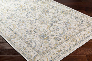 Livabliss Chicago Traditional Fringe Border Polyester Area Rug for Large Living Rooms Light Beige, Sl 2'10" x 12' CHG2300-2101111