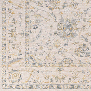 Livabliss Chicago Traditional Fringe Border Polyester Area Rug for Large Living Rooms Light Beige, Sl 2'10" x 12' CHG2300-2101111