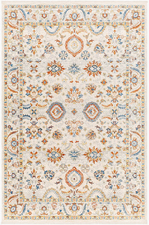 Livabliss Chicago Traditional Polyester Area Rug with Fringe for Formal Living and Dining Spaces Slate, Light Be 8'10" x 12'8" CHG2305-810127