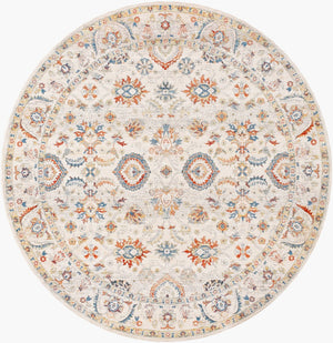 Livabliss Chicago Traditional Polyester Area Rug with Fringe for Formal Living and Dining Spaces Slate, Light Be 6'7" x 6'7" CHG2305-67RD