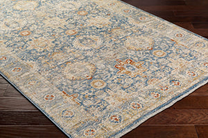 Livabliss Chicago Machine Woven Polyester Area Rug with Fringe Traditional Style for Large Rooms Blue, Light Bei 2' x 2'11" CHG2310-111211