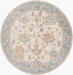 Livabliss Chicago Traditional Polyester Area Rug with Fringe Border for Living and Dining Rooms Slate, Light Be 6'7" x 6'7" CHG2311-67RD