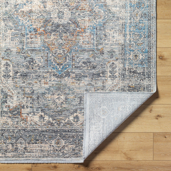 Chicago CHG-2312 8'10" x 12'8" Machine Woven Rug CHG2312-810127  Charcoal, Light Beige, Slate, Black, Blue Surya