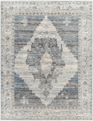 Chicago CHG-2314 8'10" x 12'8" Machine Woven Rug CHG2314-810127  Slate, Charcoal, Light Beige, Blue, Black Surya