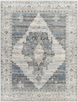 Livabliss Chicago Traditional Fringe Area Rug Low Pile Polyester Weave for Large Living Rooms Slate, Charcoal 12' x 15'7" CHG2314-1111157