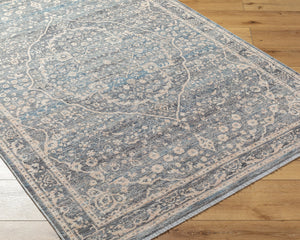 Chicago CHG-2315 8'10" x 12'8" Machine Woven Rug CHG2315-810127  Slate, Charcoal, Light Beige, Blue, Black Surya