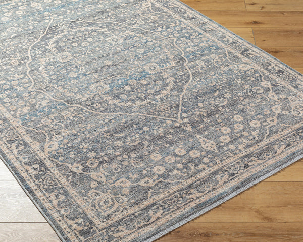 Chicago CHG-2315 8'10" x 12'8" Machine Woven Rug CHG2315-810127  Slate, Charcoal, Light Beige, Blue, Black Surya