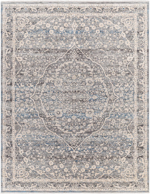 Chicago CHG-2315 8'10" x 12'8" Machine Woven Rug CHG2315-810127  Slate, Charcoal, Light Beige, Blue, Black Surya