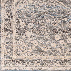 Chicago CHG-2315 8'10" x 12'8" Machine Woven Rug CHG2315-810127  Slate, Charcoal, Light Beige, Blue, Black Surya