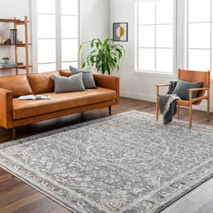 Chicago CHG-2315 8'10" x 12'8" Machine Woven Rug CHG2315-810127  Slate, Charcoal, Light Beige, Blue, Black Surya