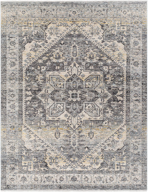 Chicago CHG-2316 8'10" x 12'8" Machine Woven Rug CHG2316-810127  Charcoal, Slate, Black, Light Beige, Blue Surya