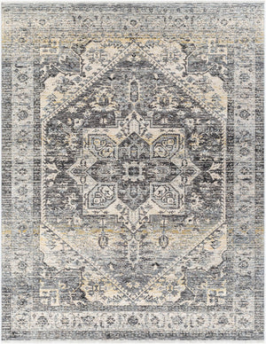 Livabliss Chicago Traditional Fringe Area Rug Low Pile Polyester for Large Living Dining Rooms Charcoal, Slate 12' x 15'7" CHG2316-1111157