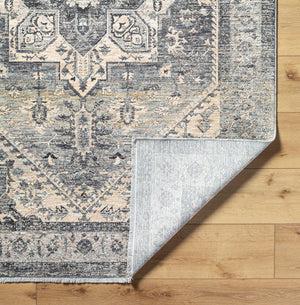 Chicago CHG-2316 8'10" x 12'8" Machine Woven Rug CHG2316-810127  Charcoal, Slate, Black, Light Beige, Blue Surya