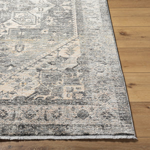 Chicago CHG-2316 8'10" x 12'8" Machine Woven Rug CHG2316-810127  Charcoal, Slate, Black, Light Beige, Blue Surya