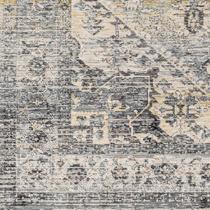 Livabliss Chicago Traditional Fringe Area Rug Low Pile Polyester for Large Living Dining Rooms Charcoal, Slate 12' x 15'7" CHG2316-1111157