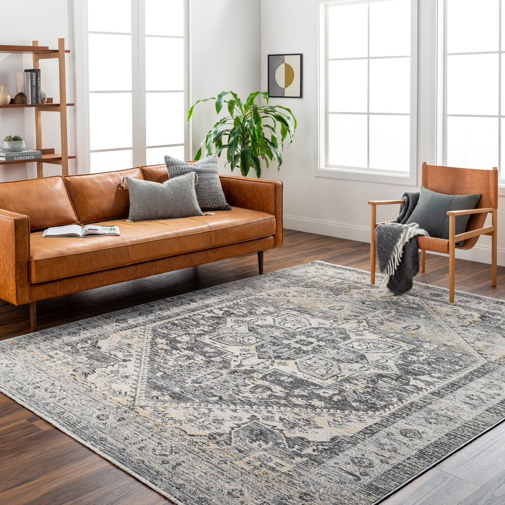 Chicago CHG-2316 8'10" x 12'8" Machine Woven Rug CHG2316-810127  Charcoal, Slate, Black, Light Beige, Blue Surya