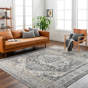 Chicago CHG-2316 8'10" x 12'8" Machine Woven Rug CHG2316-810127  Charcoal, Slate, Black, Light Beige, Blue Surya