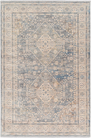 Chicago CHG-2318 8'10" x 12'8" Machine Woven Rug CHG2318-810127  Slate, Light Beige, Burnt Orange, Blue, Rust Surya