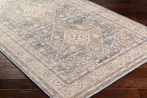 Livabliss Chicago Fringe Runner Rug Woven Polyester Traditional Hallway Entryway Low Pile Slate, Light Be 2'10" x 8' CHG2318-2108