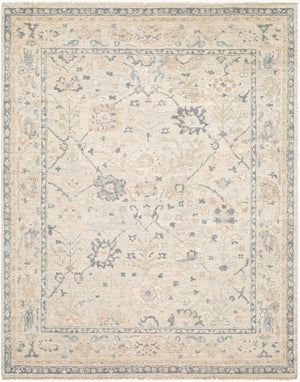 Surya Chennai Hand Knotted Silk Area Rug Lustrous Sheen Traditional South Asian Living Room 8' x 10' Rectangle CHN2303-810