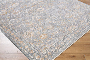 Livabliss Chapel Hill Traditional Fringe Polyester Area Rug for Living Room or Entryway Gray, Ivory 5'3" x 7' CHP2302-537