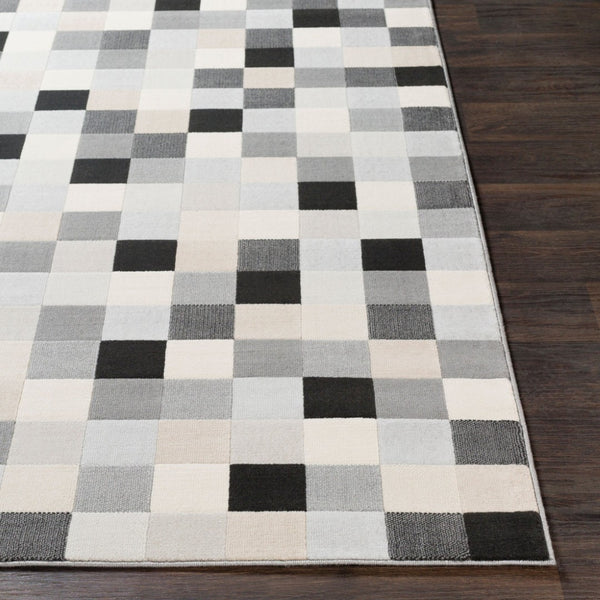 Livabliss City Polypropylene Machine Woven Accent Rug Neutral Tones for Entryway or Kitchen CIT2309-23