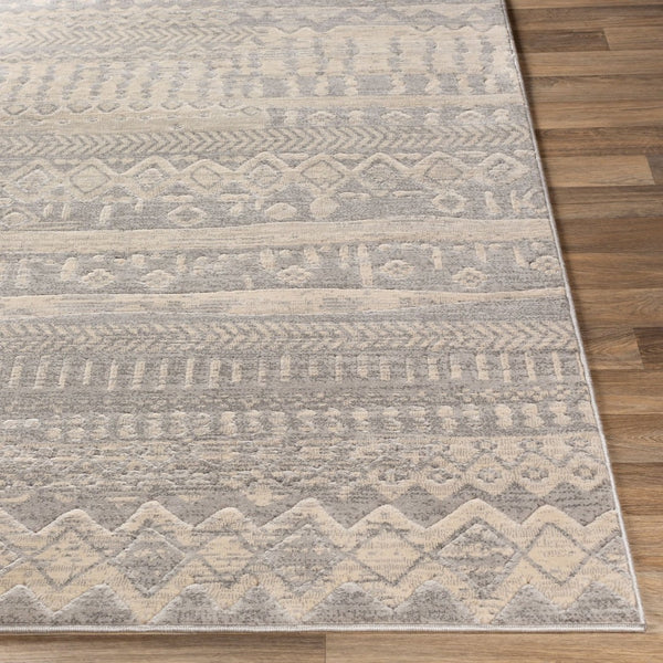 Livabliss City Collection Machine Woven Polypropylene Area Rug for Entryway or Accent Space Light Slate, Li 2' x 2'11" CIT2360-23