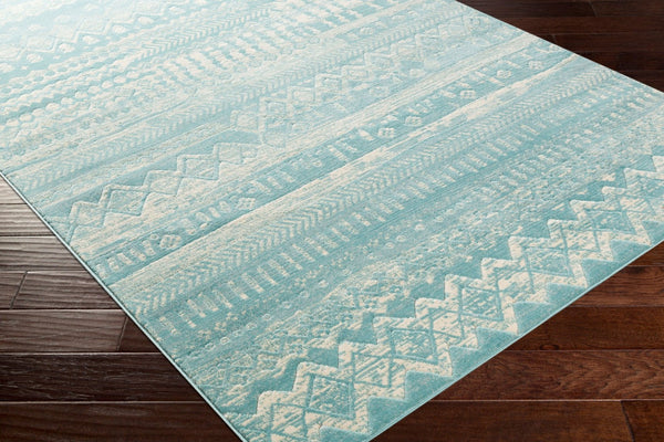Livabliss City Machine Woven Polypropylene Accent Rug Durable Indoor Outdoor Small Space Pattern Aqua, Light Bei 7'3" x 2'8" CIT2363-2773