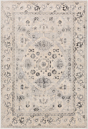 Livabliss City Machine Woven Polypropylene Runner Rug for Hallways Entryways and Bedside Areas Charcoal, Black 5'3" x 7'3" CIT2365-5373