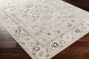 Livabliss City Machine Woven Polypropylene Runner Rug for Hallways Entryways and Bedside Areas Charcoal, Black 5'3" x 7'3" CIT2365-5373