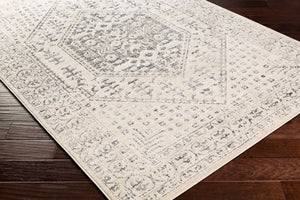Livabliss City Collection Traditional Polypropylene Area Rug for Entryways and Hallways CIT2381-23